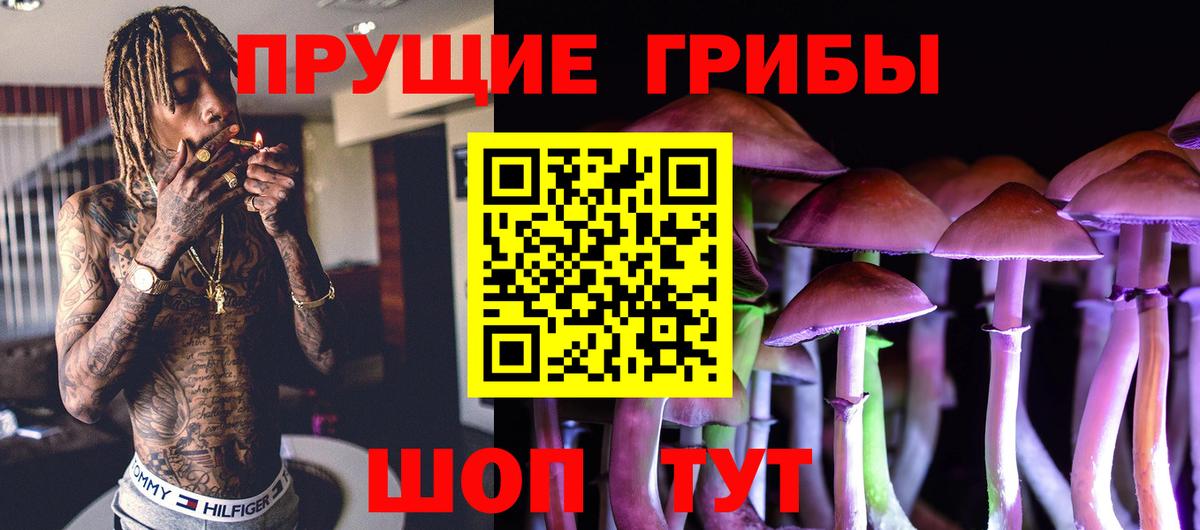 Псилоцибиновые грибы Psilocybine cubensis Воскресенск
